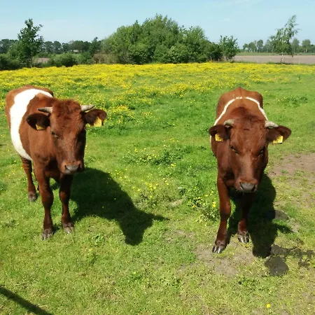Farm stay Peelvennen